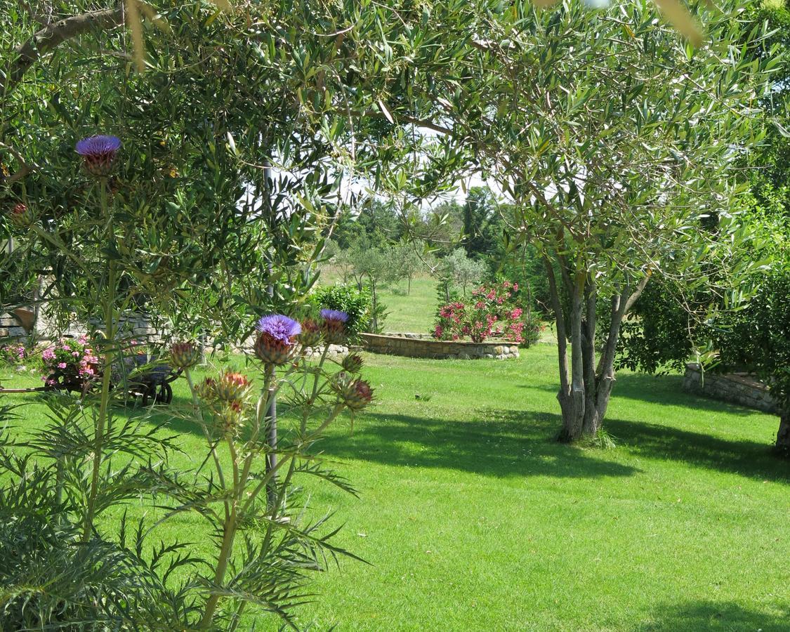 Castel de' Fiori Fonte Magia B&B 외부 사진