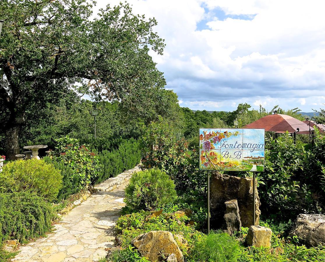 Castel de' Fiori Fonte Magia B&B 외부 사진