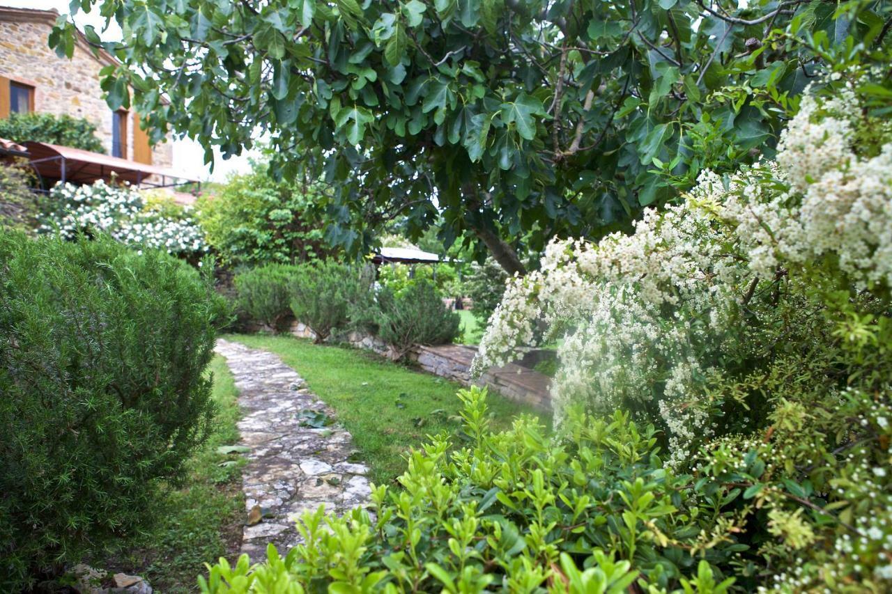 Castel de' Fiori Fonte Magia B&B 외부 사진